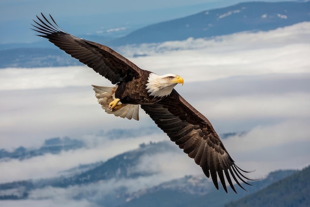 Majestic Bald Eagle fliegt über den Wald