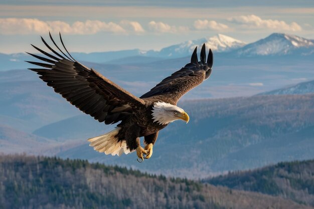 Majestic Bald Eagle fliegt über den Wald