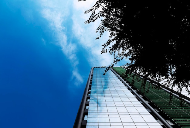 majestoso edifício vmoderno em tons de azul