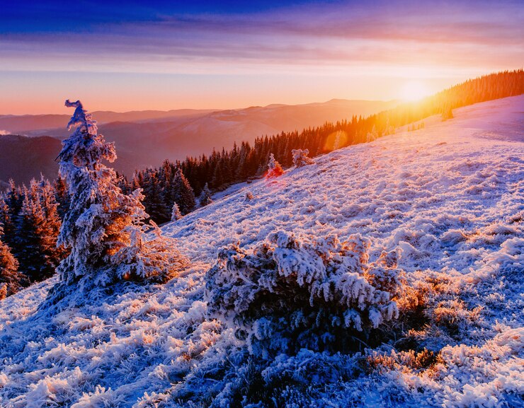 Foto majestoso pôr do sol no inverno