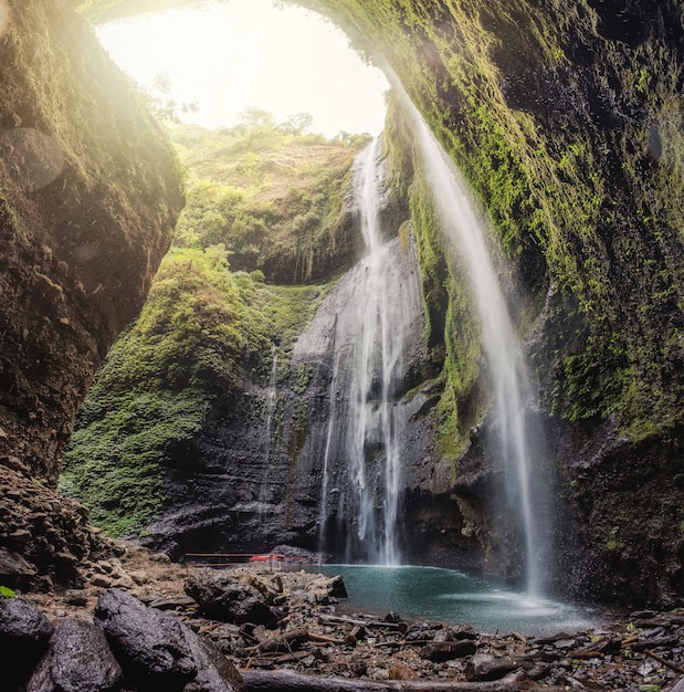 Majestuosa cascada de Madakaripura que fluye en la selva tropical