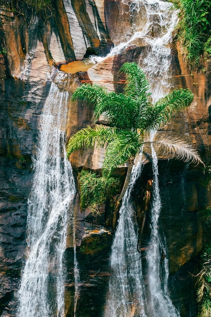 Majestuosa cascada en Minas Gerais Brasil en lo profundo de la selva