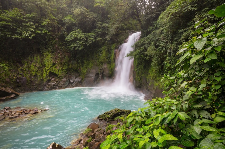 Foto majestuosa cascada en la selva tropical de costa rica. caminata tropical.