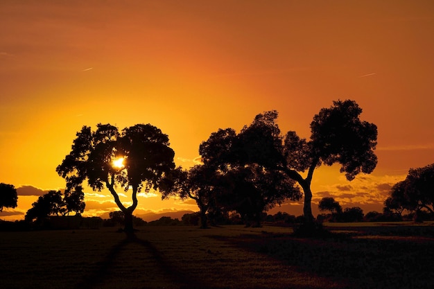 Majestuosa puesta de sol en el paisaje de las montañas