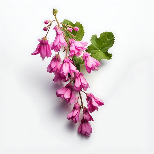 Foto la majestuosa sinfonía de la naturaleza tapiz floral que explora la belleza y el significado de las flores