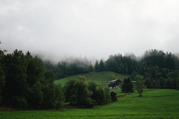 Majestuosas montañas de los Alpes cubiertas de árboles y nubes