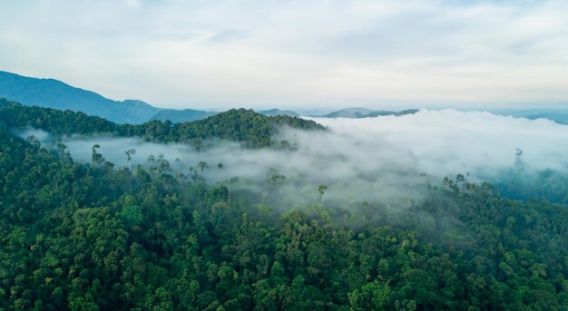 majestuosas montañas amazónicas con neblina