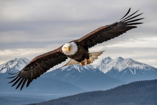 El majestuoso águila calva volando sobre el bosque