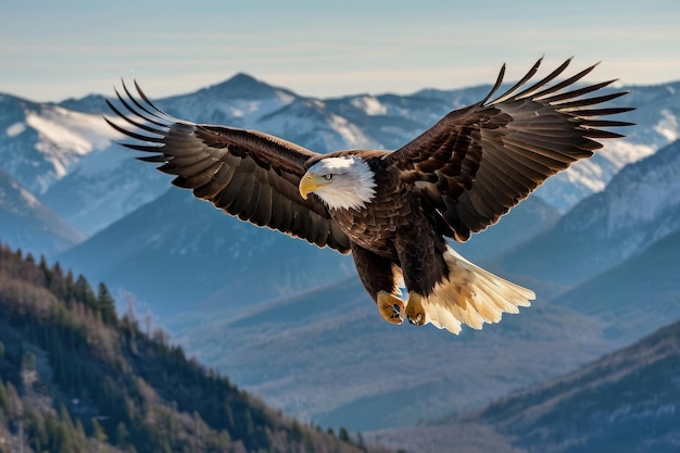 El majestuoso águila calva volando sobre el bosque