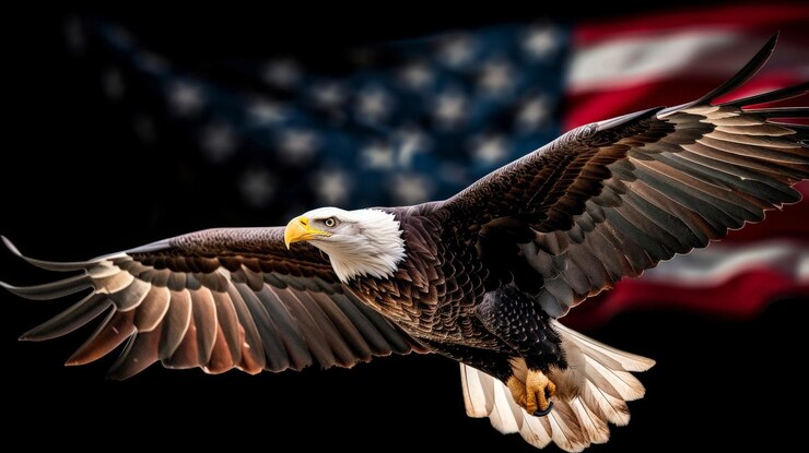 El majestuoso águila volando con la bandera estadounidense en el fondo