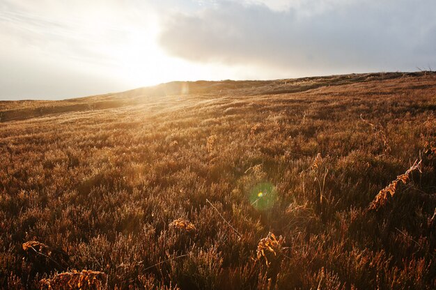 Majestuoso amanecer en la colina en el paisaje de las montañas.