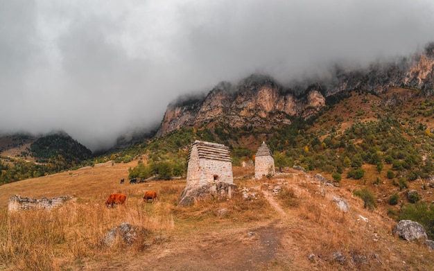 Majestuosos edificios de torres antiguas de Kelly y antiguas criptas familiares en el desfiladero de Assinesky de la montañosa Ingushetia, uno de los pueblos medievales de torre tipo castillo ubicados en la cordillera de Rusia