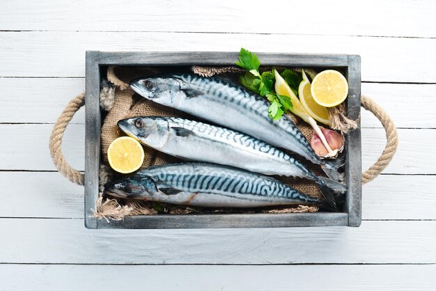 Makrele auf weißem holzhintergrund roher fisch draufsicht freier kopierplatz