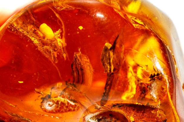 Makro Amber Mineralstein mit Spinne auf weißem Hintergrund