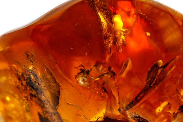 Makro Amber Mineralstein mit Spinne auf weißem Hintergrund