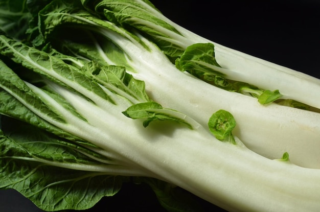 Makro-Aufnahme von grünem Blatt