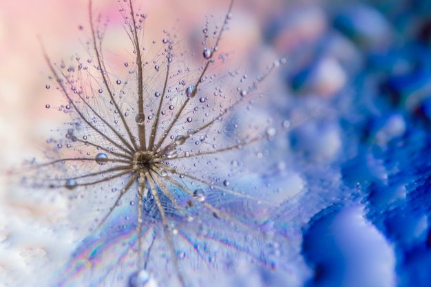 Makro Blumen Hintergrund