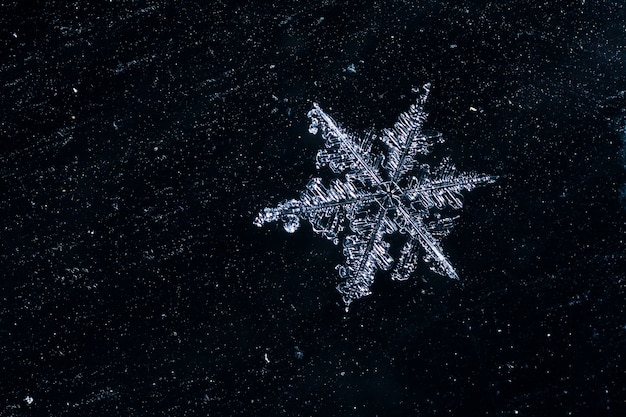 Makro der gefrorenen kleinen Schneeflocke