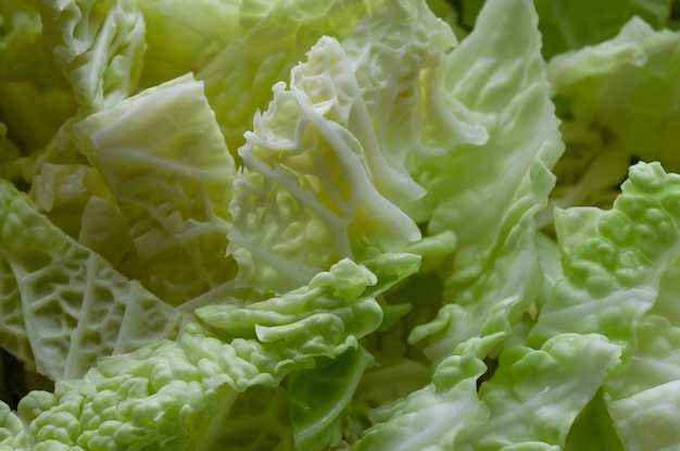 Makro geschnittener Kohl bereit zum Kochen Brassica oleracea