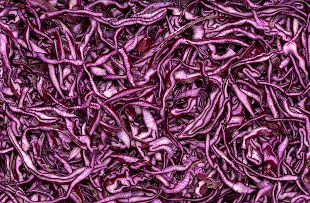 Makro-Leerfotografie von geschnittenem Rotkohl