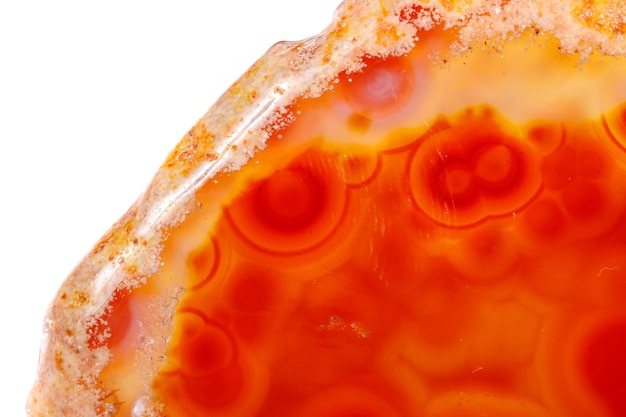 Makro mineralischer orangefarbener Achat in Kristallen auf weißem Hintergrund