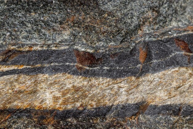 Makro-Mineralstein Snake Eye im Felsen einen weißen Hintergrund