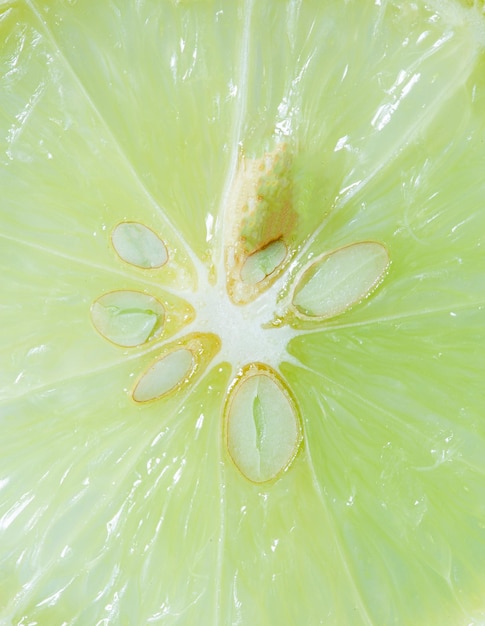 Makro-Zitronenstruktur, Makro-Zitrone. Eine Makroaufnahme einer Zitronenscheibe