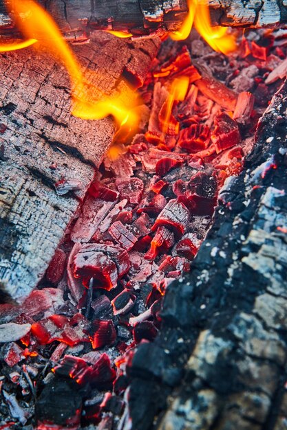 Makroansicht brennender roter Glut mit geschwärzten Baumstämmen und weißem Aschehintergrund