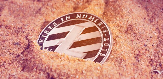 Makroaufnahme einer Litecoin-Münze Kryptowährungsmünzen