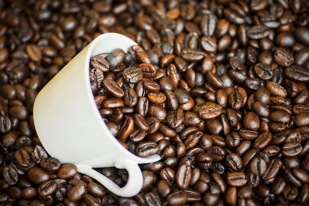 Makroaufnahme eines Haufens frischer Kaffeebohnen mit einer weißen Kaffeetasse, aufgenommen im Studio