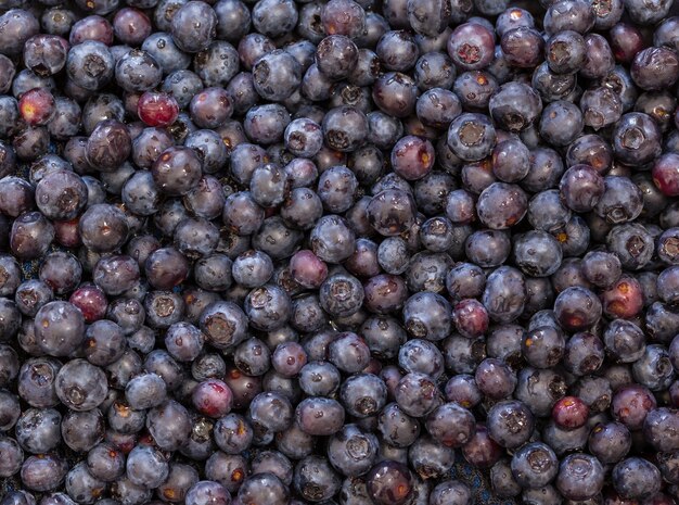 Makroaufnahme von Blaubeeren