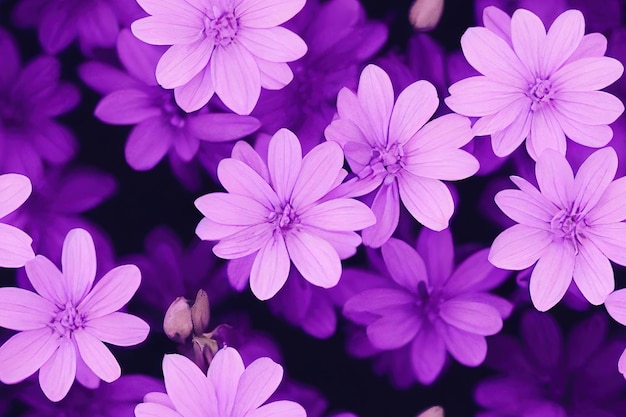 Makrobild des Frühlings lila violette Blumen abstrakter weicher floraler Hintergrund Nahtloses Muster