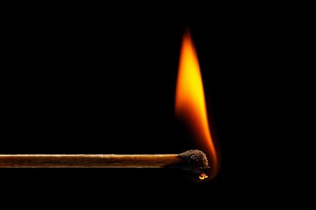 Makrofeuer, das auf Matchstick brennt.