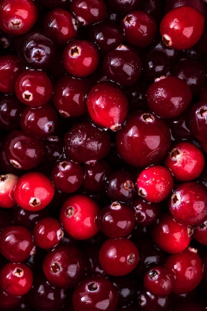 Makrofotografie von Cranberry-Beeren Hintergrund von roten reifen Beeren