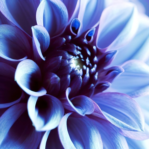 Makrofotografie von Indigo-Dahlia