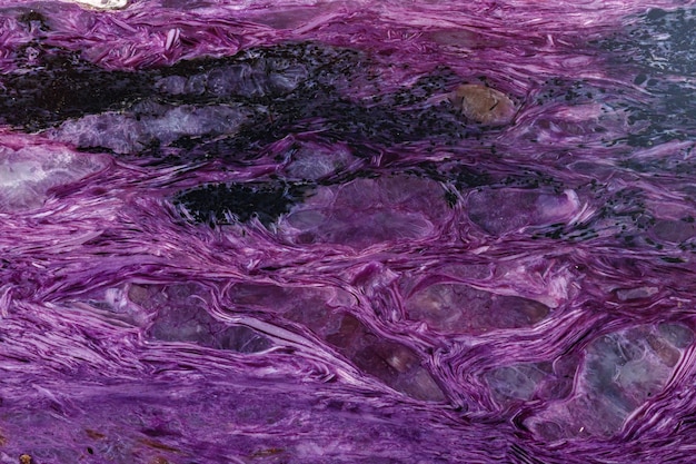 Makromineralstein Charoite auf weißem Hintergrund