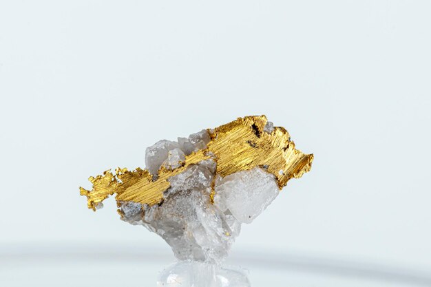 Makromineralsteinmetallgold im Quarz auf einem weißen Hintergrund