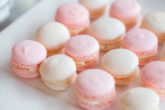 Makronen auf einem weißen quadratischen Teller. Leckeres Dessert für die Hochzeit. Weicher Pastellhintergrund.