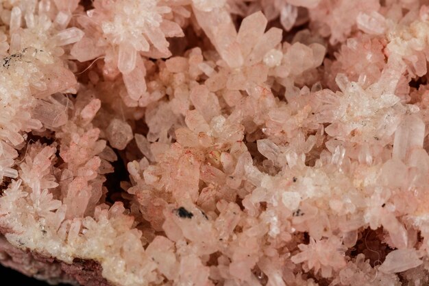 Makrostein Mineral rosa Quarz Amethyst auf schwarzem Hintergrund