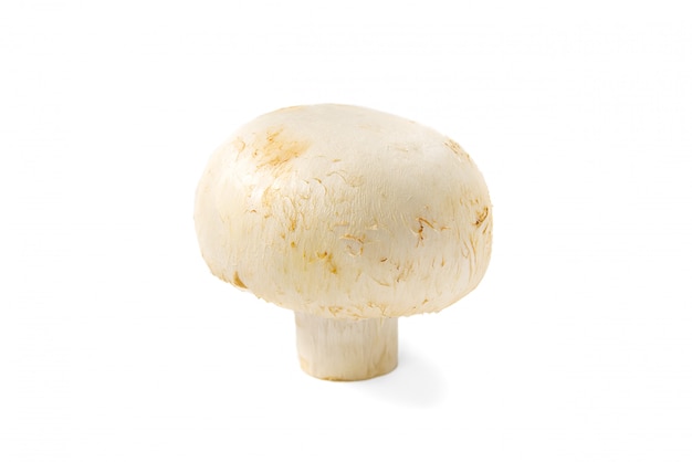 Makrotrieb der frischen Champignonpilze. Nahaufnahme weiß geschnittener Champignon.