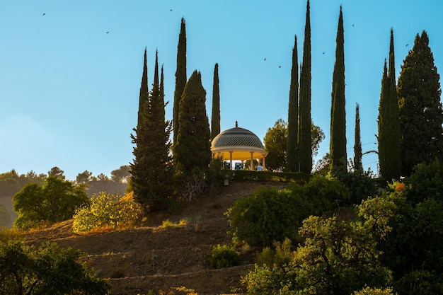 MALAGA ESPAÑA 13 DE NOVIEMBRE DE 2022 Hermosa vista del Jardín Botánico de Málaga