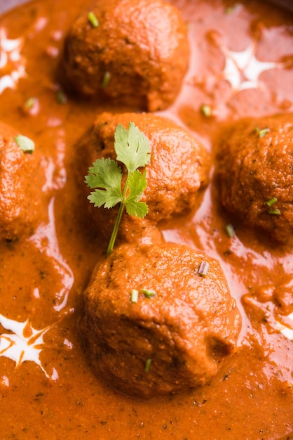 Malai Kofta Curry - klassisches nordindisches Gericht. vegetarische Alternative zu Frikadellen serviert mit Tandoori Roti oder indischem Brot und grünem Salat, selektiver Fokus