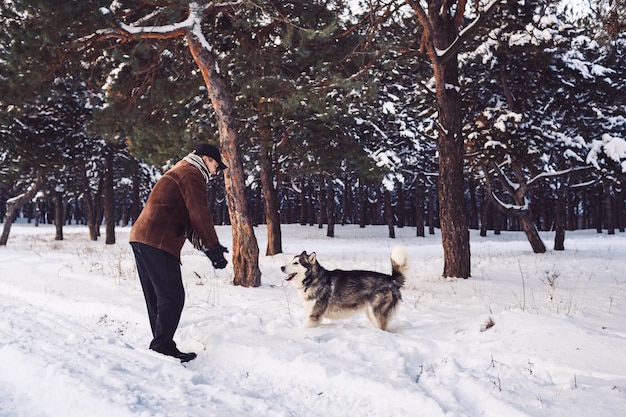 Malamute-Mann und Hund spielen im Winter im Park