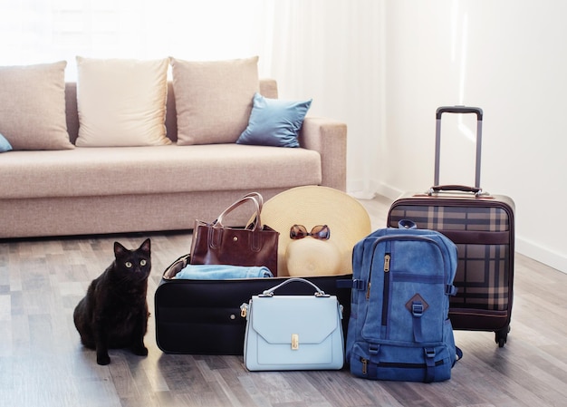 Malas embaladas para viagens e problemas com animais de estimação para viagens de gatos