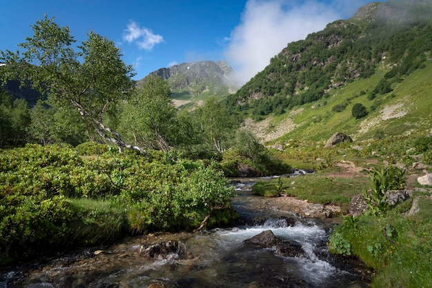 Malaya Dukka Fluss im Nordkaukasus an einem sonnigen Sommertag Arkhyz KarachayCherkessia Russland