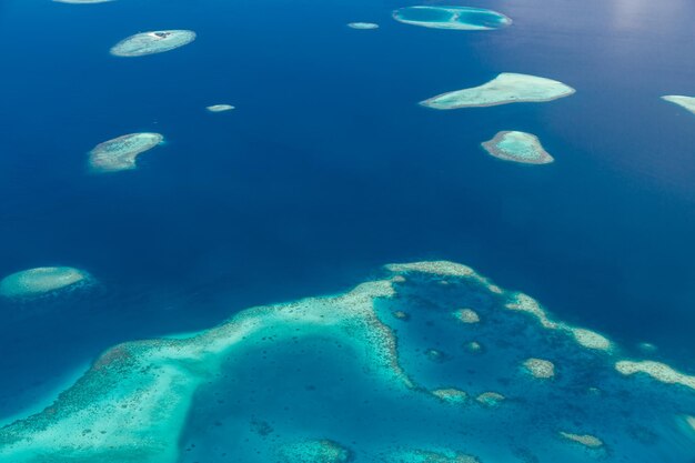 Maldivas Beach Reef Areia tirada de diferentes praias de ilhas localizadas nas Maldivas