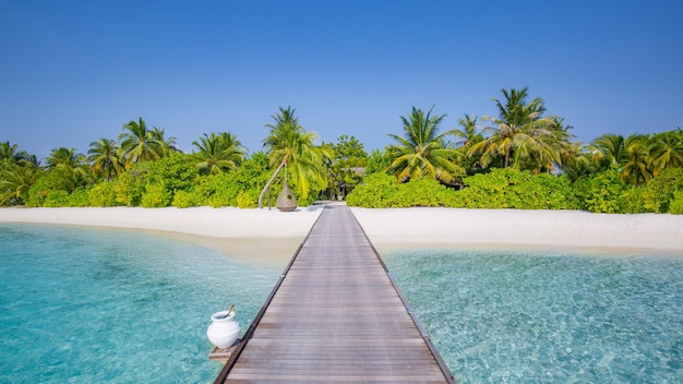 Maldivas, paraíso perfeito, praia tropical, fundo de ilha tropical, belas palmeiras, clima de paisagem de praia