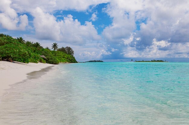 Maldive Sand Beach y vista de follaje de palma verde