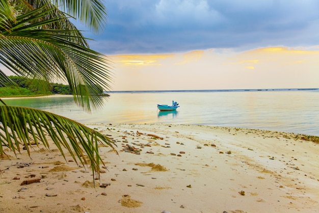 Maldivian Sunset Sea View com barco e folhas de palmeira