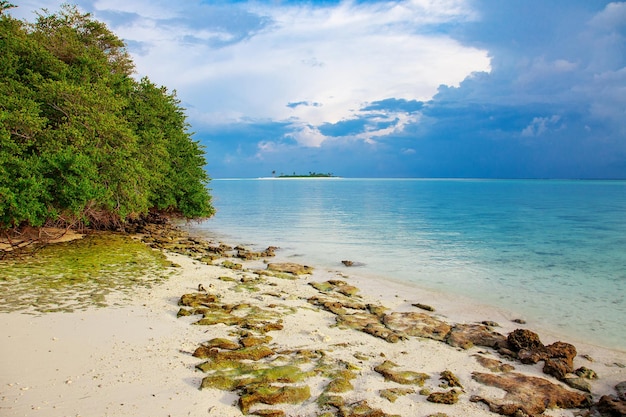 Maledive Islands Sand Beach und grüne Palmenlaubansicht